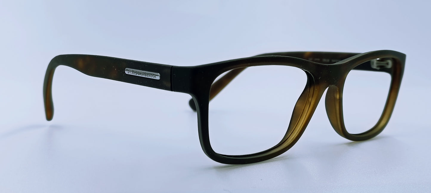 Dolce & Gabbana DG3005