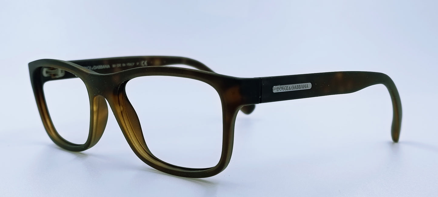 Dolce & Gabbana DG3005