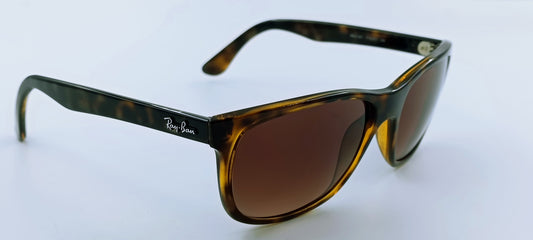 Ray-Ban RB4181