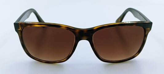 Ray-Ban RB4181