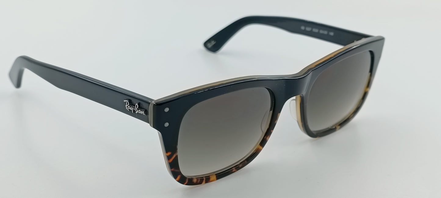 Ray Ban RB5227