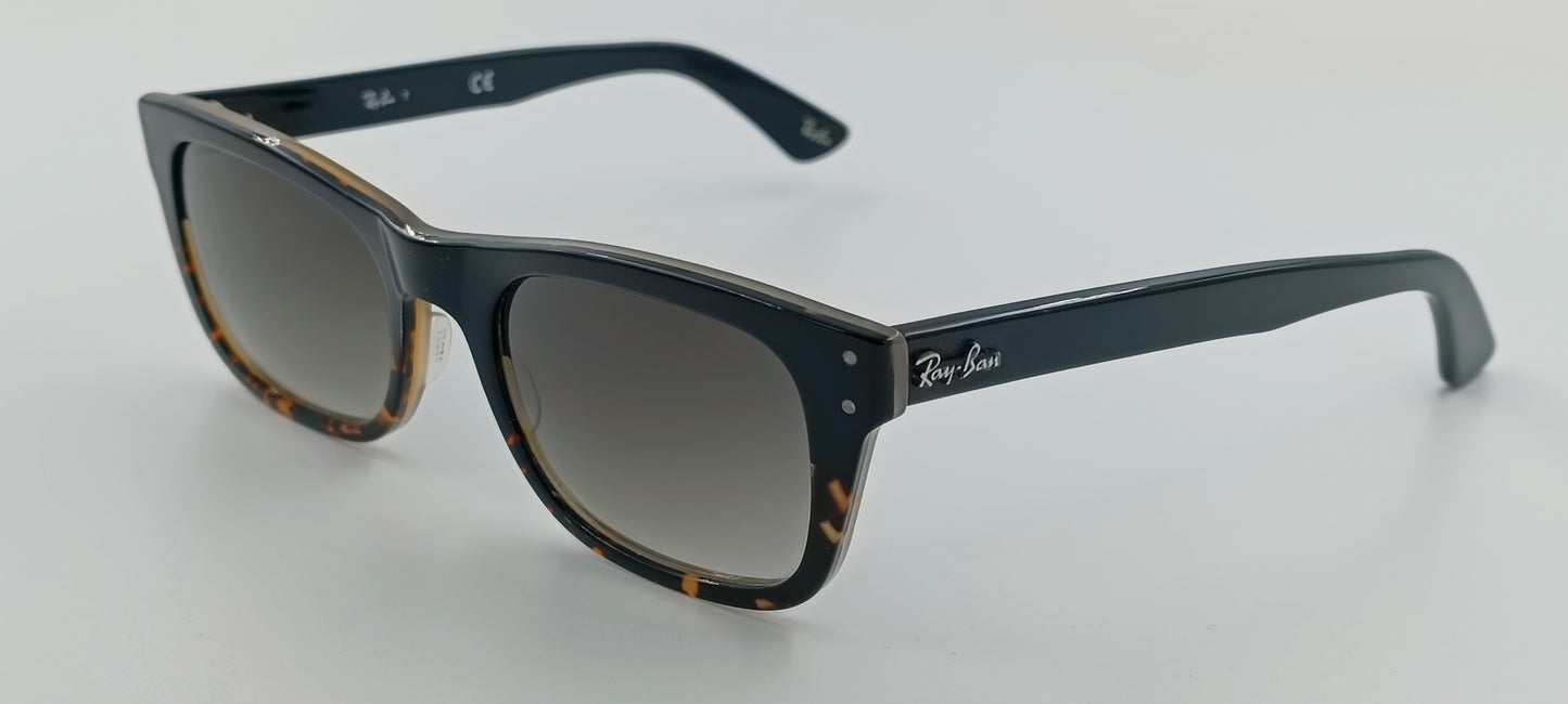 Ray Ban RB5227